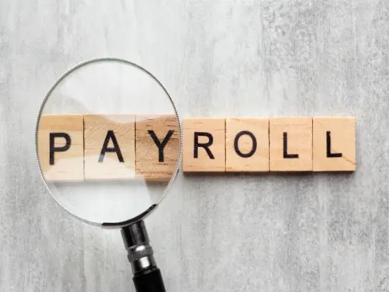 Payroll Services